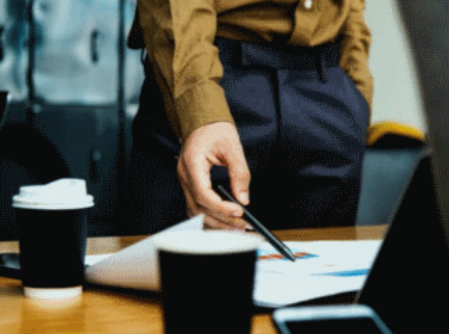 myPrimeHR Performance Appraisal interface